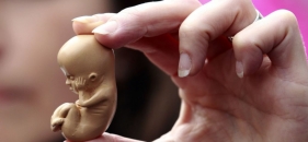 Enquete do dia: o cristão pode concordar com o aborto?